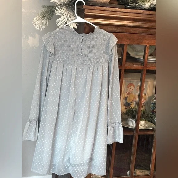 Love Riche Blue Gray Smocked Dress. Sheer Chiffon Long Sleeve Women’s Sz-L. EUC - Picture 2 of 9